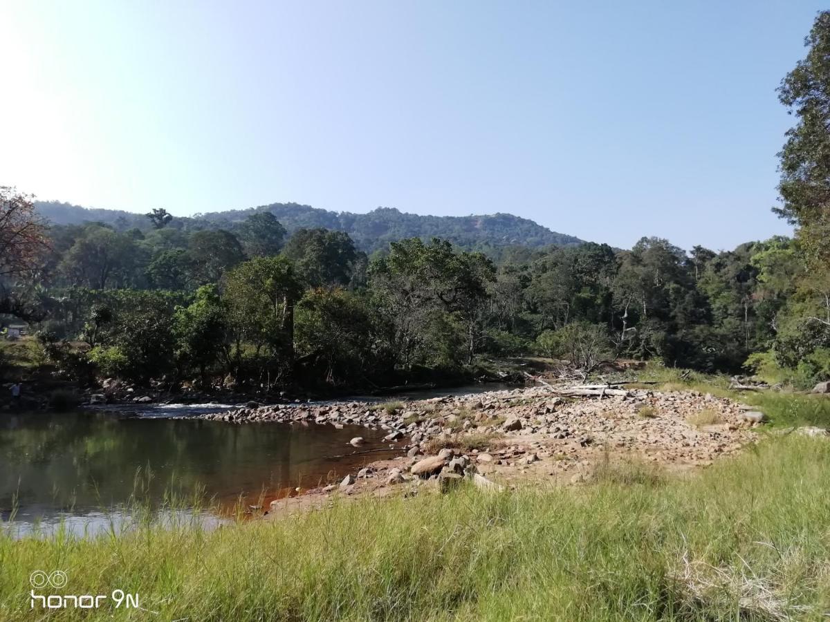 Coorg River Rock Camping Madikeri Extérieur photo