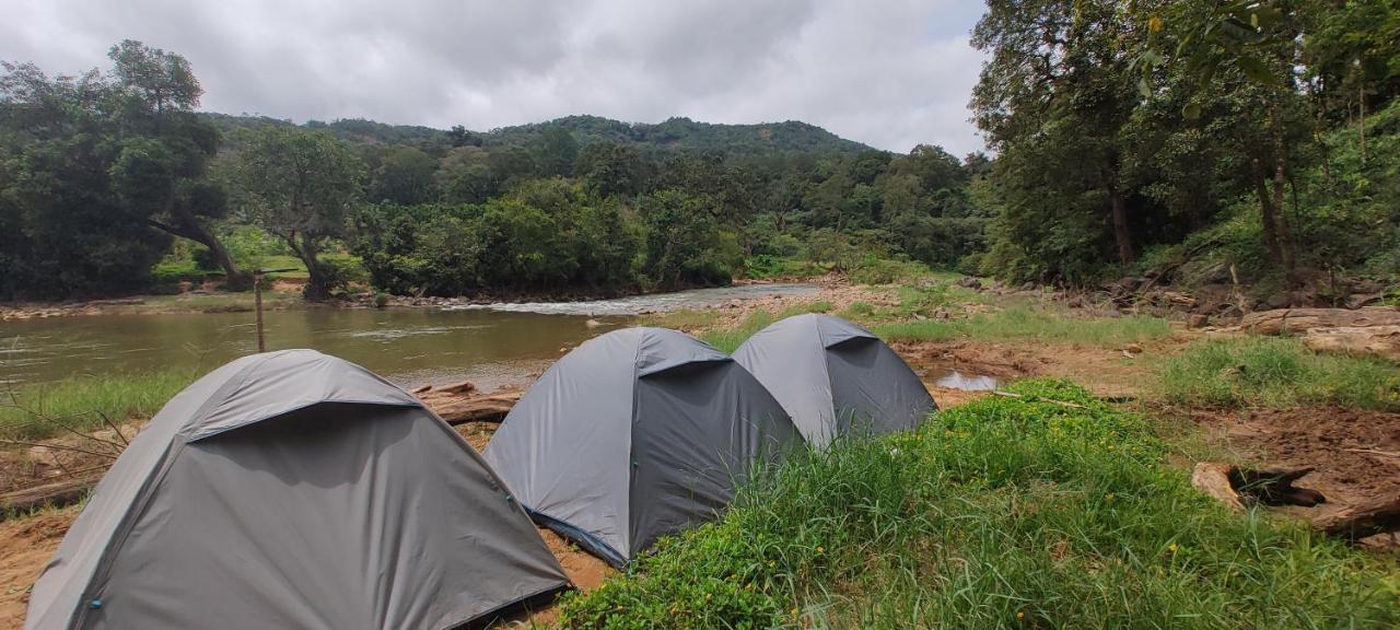 Coorg River Rock Camping Madikeri Extérieur photo